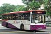 Thumbnail: SBS2689B — Historical archive of a Volvo B10M Mark IV (Duple Metsec 3500) single-deck bus operating on service 60 under SBS Transit. Photographed in April 2009, buses of this model type have since been completely retired from passenger service.