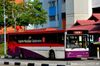 Thumbnail: SBS2756R — Historical archive of a Volvo B10M Mark IV (Duple Metsec 3500) single-deck bus, pictured carrying a ComfortDelgro Celebrates SG50 advertisement, operating on service 109 under SBS Transit. Photographed in June 2015, buses of this model type have since been completely retired from passenger service.