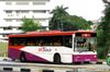 Thumbnail: SBS2811P — Historical archive of a Volvo B10M Mark IV (Duple Metsec 3500) single-deck bus operating on service 8 under SBS Transit. Photographed in August 2011, buses of this model type have since been completely retired from passenger service.
