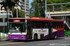 Thumbnail: SBS2824C — Historical archive of a Volvo B10M Mark IV (Duple Metsec 3500) single-deck bus operating on service 159 under SBS Transit. Photographed in February 2015, buses of this model type have since been completely retired from passenger service.