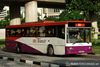 Thumbnail: SBS2834Z — Historical archive of a Volvo B10M Mark IV (Duple Metsec 3500) single-deck bus operating on service 81 under SBS Transit. Photographed in May 2009, buses of this model type have since been completely retired from passenger service.
