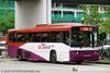 Thumbnail: SBS3663T — Historical archive of a Scania N113CRB single-deck bus operating on service 31 under SBS Transit. Buses of this model type have since been completely retired from passenger service.
