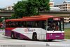 Thumbnail: SBS3673P — Historical archive of a Scania N113CRB single-deck bus operating on service 29 under SBS Transit. Photographed in December 2008, buses of this model type have since been completely retired from passenger service.