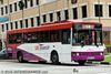 Thumbnail: SBS3774G — Historical archive of a Mercedes-Benz O.405 (Duple Metsec) single-deck bus operating on service 58 under SBS Transit. Photographed in July 2008, buses of this model type have since been completely retired from passenger service.