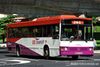 Thumbnail: SBS3775D — Historical archive of a Mercedes-Benz O.405 (Duple Metsec) single-deck bus operating on service 261 under SBS Transit. Photographed in September 2008, buses of this model type have since been completely retired from passenger service.