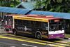 Thumbnail: SBS3800P — Historical archive of a Mercedes-Benz O.405 (Duple Metsec) single-deck bus operating on service 25 under SBS Transit. Photographed in March 2010, buses of this model type have since been completely retired from passenger service.