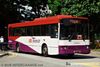 Thumbnail: SBS3811H — Historical archive of a Mercedes-Benz O.405 (Duple Metsec) single-deck bus operating on service 124 under SBS Transit. Photographed in September 2008, buses of this model type have since been completely retired from passenger service.