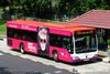 Thumbnail: SBS6012C — A Mercedes-Benz Citaro single-deck bus serving commuters on service 53 under current bus operator SBS Transit.