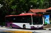 Thumbnail: SBS6065A — A Mercedes-Benz Citaro single-deck bus serving commuters on service 109 under current bus operator SBS Transit in May 2019.
