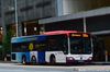 Thumbnail: SBS6251D — A Mercedes-Benz Citaro single-deck bus, pictured carrying a Open Electricity Market advertisement, serving commuters on service 196e under current bus operator SBS Transit in May 2019.