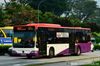 Thumbnail: SBS6329P  — A Mercedes-Benz Citaro single-deck bus serving commuters on service 97e back when it was operated by SBS Transit in June 2016.