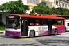 Thumbnail: SBS8026A — Historical archive of a Volvo B10M Mark IV (PSV Soon Chow) single-deck bus operating on service 241 under SBS Transit. Buses of this model type have since been completely retired from passenger service.