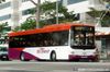 Thumbnail: SBS8031J — Historical archive of a MAN 18.240 HOCL-NL (A69) single-deck demonstrator bus operating on service 6. Photographed in July 2008, this demonstrator vehicle has since been retired from public bus service following the conclusion of its trial or service lifespan.