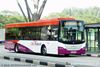 Thumbnail: SBS8085D — A Scania K230UB (Euro IV) single-deck bus serving commuters on service 238 under current bus operator SBS Transit in January 2008.
