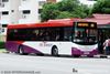 Thumbnail: SBS8110P — A Scania K230UB (Euro IV) single-deck bus serving commuters on service 265 under current bus operator SBS Transit.