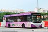 Thumbnail: SBS8113G — A Scania K230UB (Euro IV) single-deck bus serving commuters on service 51 under current bus operator SBS Transit in August 2013.