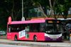 Thumbnail: SBS8149D  — A Scania K230UB (Euro IV) single-deck bus serving commuters on service 64 under current bus operator SBS Transit in July 2015.