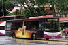 Thumbnail: SBS8221C — A Scania K230UB (Euro IV) single-deck bus serving commuters on service 401 under current bus operator SBS Transit.