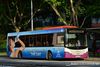 Thumbnail: SBS8230B — A Scania K230UB (Euro IV) single-deck bus serving commuters on service 8 under current bus operator SBS Transit.