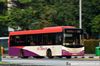 Thumbnail: SBS8236K  — A Scania K230UB (Euro IV) single-deck bus serving commuters on service 132 under current bus operator SBS Transit in October 2015.