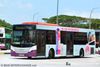 Thumbnail: SBS8295P — A Scania K230UB (Euro IV) single-deck bus serving commuters on service 17 back when it was operated by SBS Transit in July 2013.