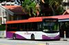 Thumbnail: SBS8431M — A Scania K230UB (Euro IV) single-deck bus serving commuters on service 222 under current bus operator SBS Transit in February 2017.