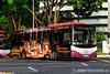 Thumbnail: SBS8490S — A Scania K230UB (Euro IV) single-deck bus serving commuters on service 51 under current bus operator SBS Transit.
