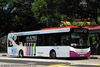 Thumbnail: SBS8575G — A Scania K230UB (Euro V) single-deck bus serving commuters on service 33B under current bus operator SBS Transit.