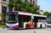 Thumbnail: SBS8586A — A Scania K230UB (Euro V) single-deck bus serving commuters on service 10 back when it was operated by SBS Transit in June 2014.