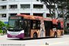 Thumbnail: SBS8589S — A Scania K230UB (Euro V) single-deck bus serving commuters on service 36 back when it was operated by SBS Transit.