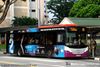 Thumbnail: SBS8598R — A Scania K230UB (Euro V) single-deck bus serving commuters on service 81 back when it was operated by SBS Transit.