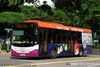 Thumbnail: SBS8645M — A Scania K230UB (Euro V) single-deck bus serving commuters on service 36 back when it was operated by SBS Transit.