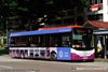 Thumbnail: SBS8795M — A Scania K230UB (Euro V) single-deck bus serving commuters on service 186 under current bus operator SBS Transit.