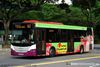 Thumbnail: SBS8852G — A Scania K230UB (Euro V) single-deck bus serving commuters on service 162 under current bus operator SBS Transit.