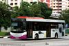Thumbnail: SBS8918B — A Scania K230UB (Euro V) single-deck bus serving commuters on service 265 under current bus operator SBS Transit.