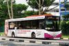 Thumbnail: SBS8949L — A Scania K230UB (Euro V) single-deck bus serving commuters on service 506 under current bus operator SBS Transit.