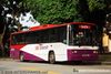 Thumbnail: SBS196U — Historical archive of a Mercedes-Benz O.405 (Walter Alexander PS) single-deck bus operating on service 125 under SBS Transit. Photographed in February 2008, buses of this model type have since been completely retired from passenger service.