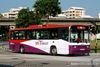 Thumbnail: SBS239E — Historical archive of a Mercedes-Benz O.405 (Walter Alexander PS) single-deck bus operating on service 8 under SBS Transit. Photographed in September 2007, buses of this model type have since been completely retired from passenger service.