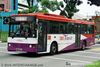 Thumbnail: SBS374Y — Historical archive of a Mercedes-Benz O.405 (Duple Metsec) single-deck bus operating on service 53 under SBS Transit. Photographed in February 2008, buses of this model type have since been completely retired from passenger service.