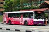 Thumbnail: SBS455Y — Historical archive of a Mercedes-Benz O.405 (Duple Metsec) single-deck bus operating on service 55 under SBS Transit. Photographed in May 2008, buses of this model type have since been completely retired from passenger service.