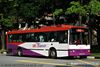 Thumbnail: SBS469H — Historical archive of a Mercedes-Benz O.405 (Duple Metsec) single-deck bus operating on service 52 under SBS Transit. Photographed in June 2009, buses of this model type have since been completely retired from passenger service.