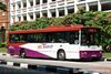 Thumbnail: SBS516E — Historical archive of a Mercedes-Benz O.405 (Duple Metsec) single-deck bus operating on service 73 under SBS Transit. Photographed in February 2010, buses of this model type have since been completely retired from passenger service.