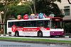 Thumbnail: SBS536Y — Historical archive of a Mercedes-Benz O.405 (Duple Metsec) single-deck bus operating on service 55 under SBS Transit. Buses of this model type have since been completely retired from passenger service.