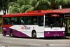 Thumbnail: SBS566K — Historical archive of a Mercedes-Benz O.405 (Duple Metsec) single-deck bus operating on service 45 under SBS Transit. Photographed in August 2008, buses of this model type have since been completely retired from passenger service.