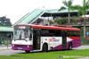 Thumbnail: SBS587A — Historical archive of a Volvo B10M Mark III single-deck bus operating on service 170 under SBS Transit. Photographed in February 2011, buses of this model type have since been completely retired from passenger service.