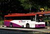Thumbnail: SBS668A — Historical archive of a Volvo B10M Mark III single-deck bus operating on service 33 under SBS Transit. Buses of this model type have since been completely retired from passenger service.