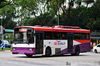 Thumbnail: SBS896H — Historical archive of a Volvo B10M Mark IV (Duple Metsec) single-deck bus operating on service 242 under SBS Transit. Photographed in August 2014, buses of this model type have since been completely retired from passenger service.