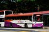 Thumbnail: SBS908H — Historical archive of a Volvo B10M Mark IV (Duple Metsec) single-deck bus operating on service 40 under SBS Transit. Photographed in August 2013, buses of this model type have since been completely retired from passenger service.