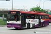 Thumbnail: SBS911Y — Historical archive of a Volvo B10M Mark IV (Duple Metsec) single-deck bus operating on service 19 under SBS Transit. Photographed in May 2008, buses of this model type have since been completely retired from passenger service.
