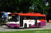 Thumbnail: SBS951G — Historical archive of a Volvo B10M Mark IV (Duple Metsec) single-deck bus operating on service 156 under SBS Transit. Photographed in August 2012, buses of this model type have since been completely retired from passenger service.